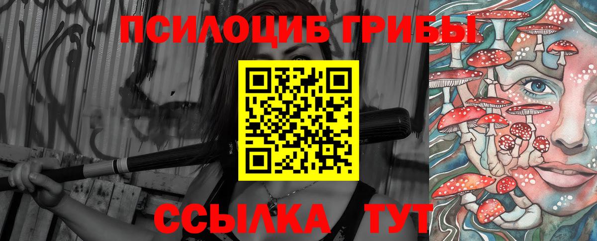 Гатчина  Псилоцибиновые грибы MAGIC MUSHROOMS  Вход с VPN 